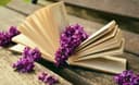 The Book That Taught Me to Read Differently