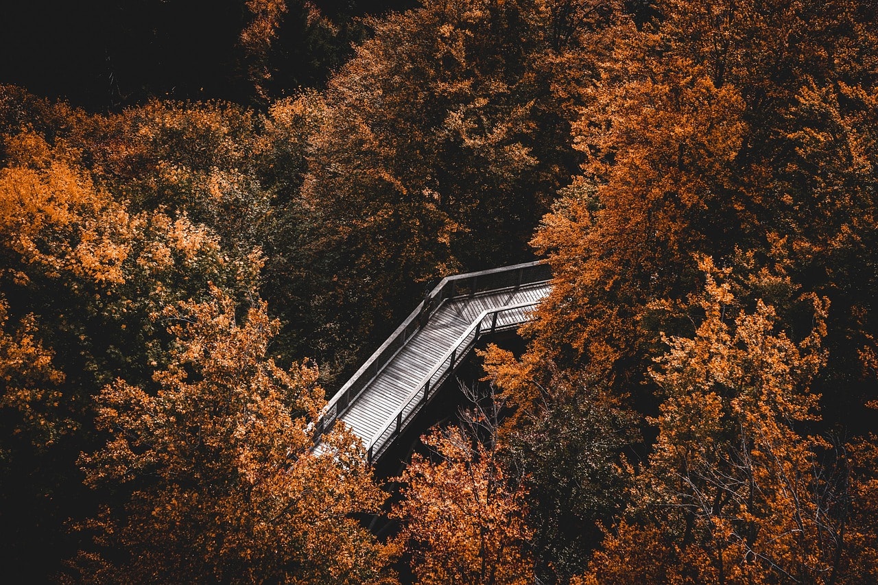 The Parable of the Two Arrows: How to Avoid Needless Suffering