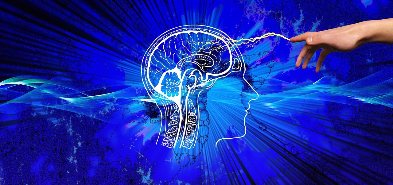 Why Your Brain Lies to You About Being Busy