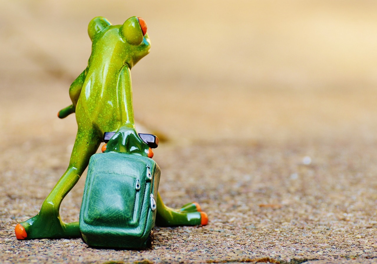 Travel Is a Mirror: Questions to Ask Yourself on the Road