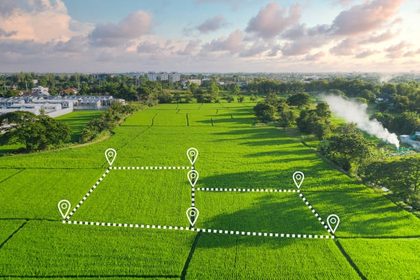 Plot for Sale in Hisar: A Complete 2026 Buyer's Guide for Smart Property Investors