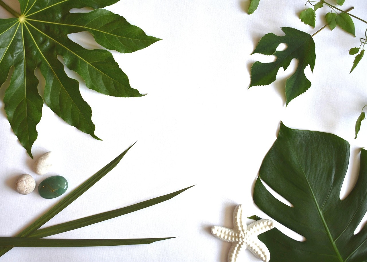 How to Use White Space in Design: The Complete Guide for 2025
