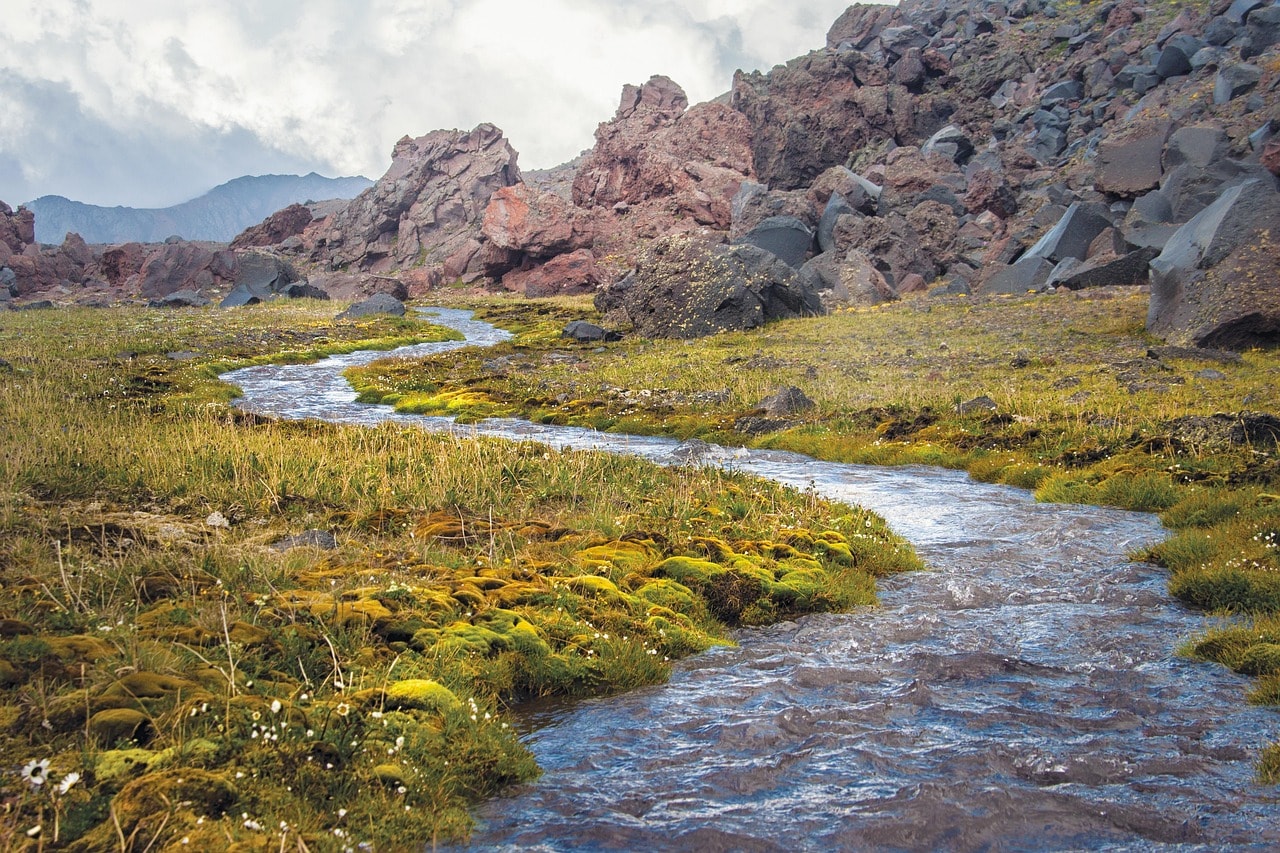 The Solo Traveler's Journey: From Fear to Freedom