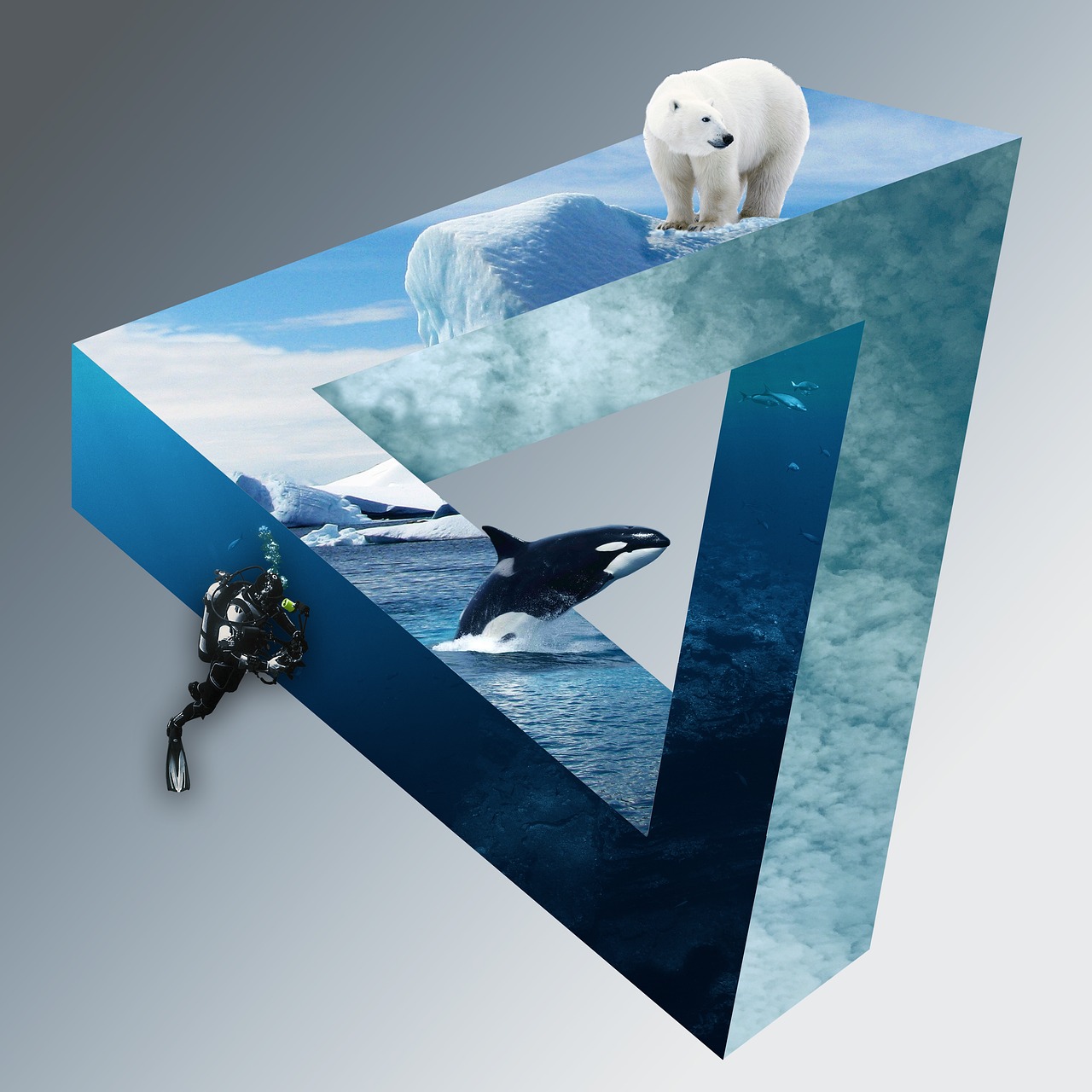 The Iceberg of Skill