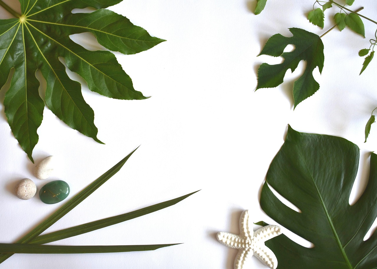 How to Use White Space in Design: The Complete Guide for 2025