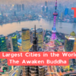 49 Largest Cities In The World | The Awaken Buddha