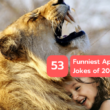 53 Funniest April Fools' Jokes Of 2023