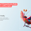 Adobe Firefly: A Comprehensive Guide