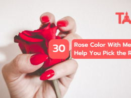 30 Rose Color With Meanings To Help You Pick The Right One