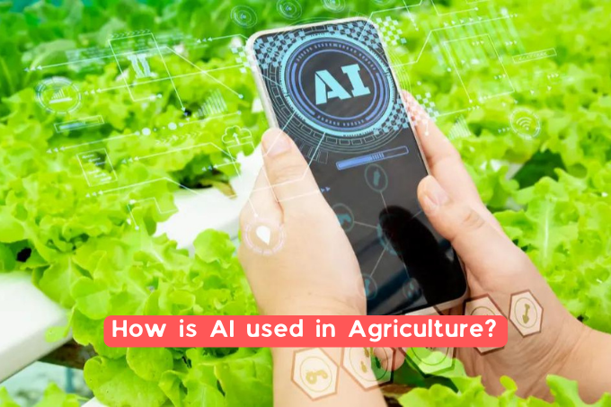 &Quot;Ai And Agriculture: Optimizing Crop Production&Quot;