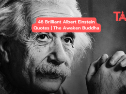 46 Brilliant Albert Einstein Quotes | The Awaken Buddha