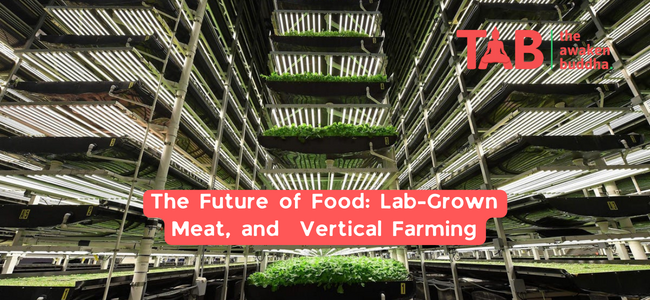 The Future Of Food: Lab-Grown Meat, And Vertical Farming