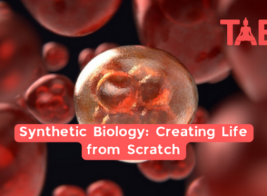 Synthetic Biology: Creating Life From Scratch