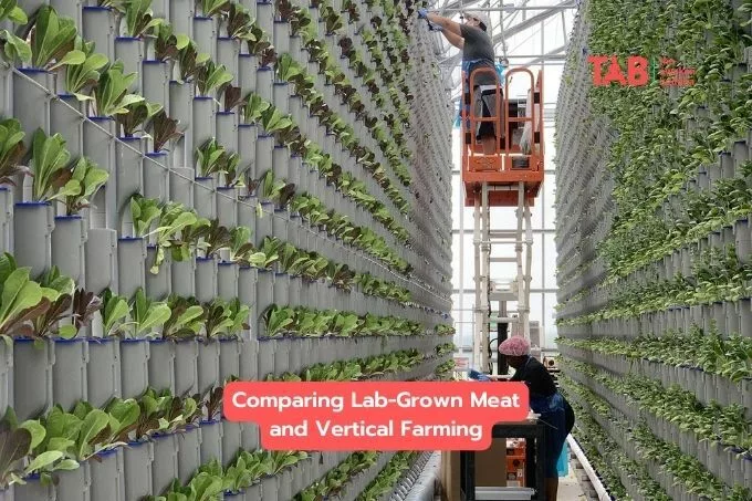 The Future Of Food: Lab-Grown Meat, And Vertical Farming