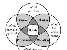 Ikigai - The Reason For Being