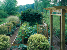 10 Best Gardening Blogs You Should Follow