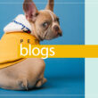 10 Useful Pet Blogs For Pet Owners